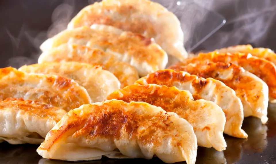 奇跡の一粒すっぴん餃子100個_0