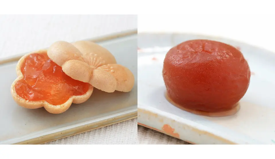 杏もなか・杏花の実セット（杏もなか5個・杏花の実4個）_0