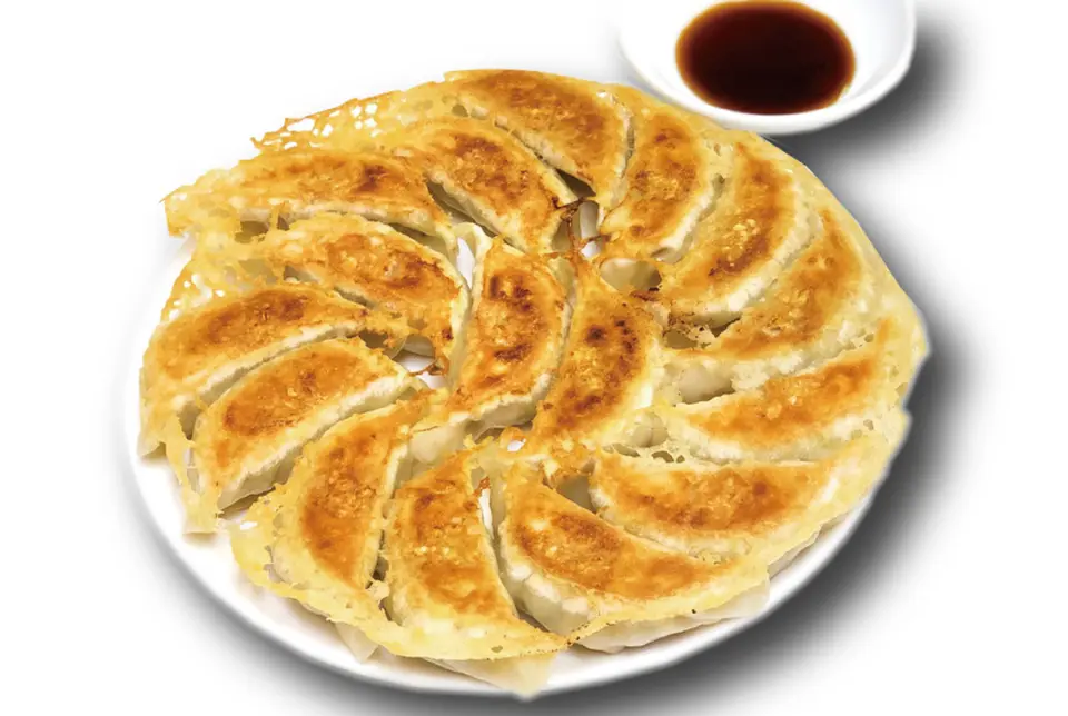 あしかが大麦餃子 送料無料 初回お試しパック【中】_0