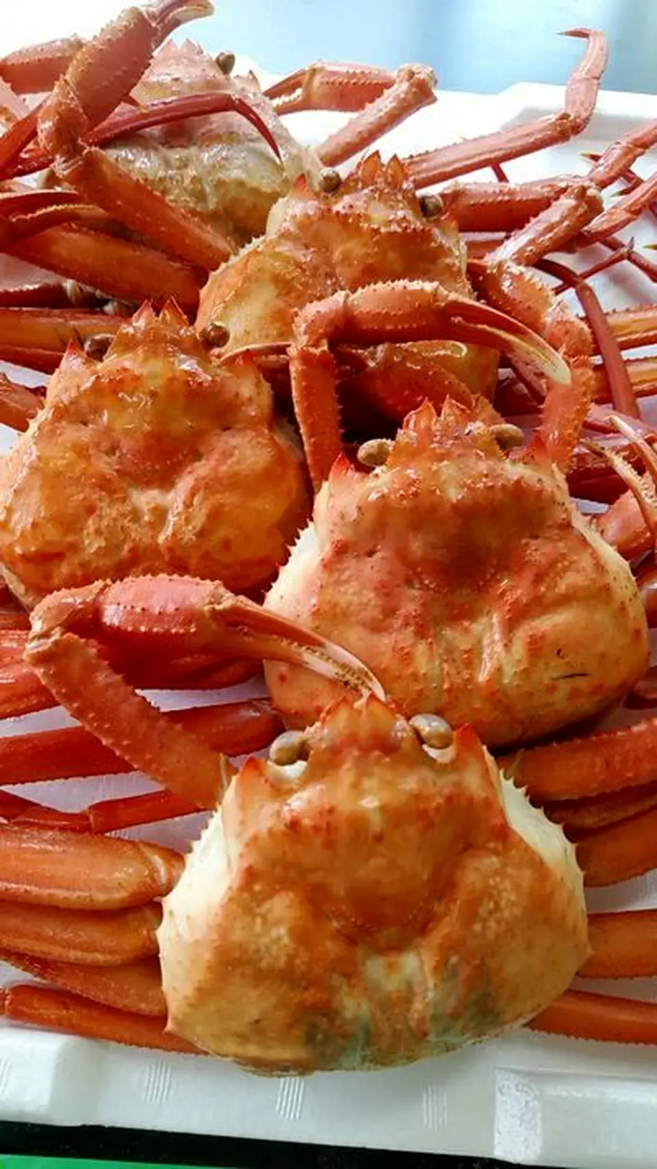 紅ずわい蟹5杯セット_0