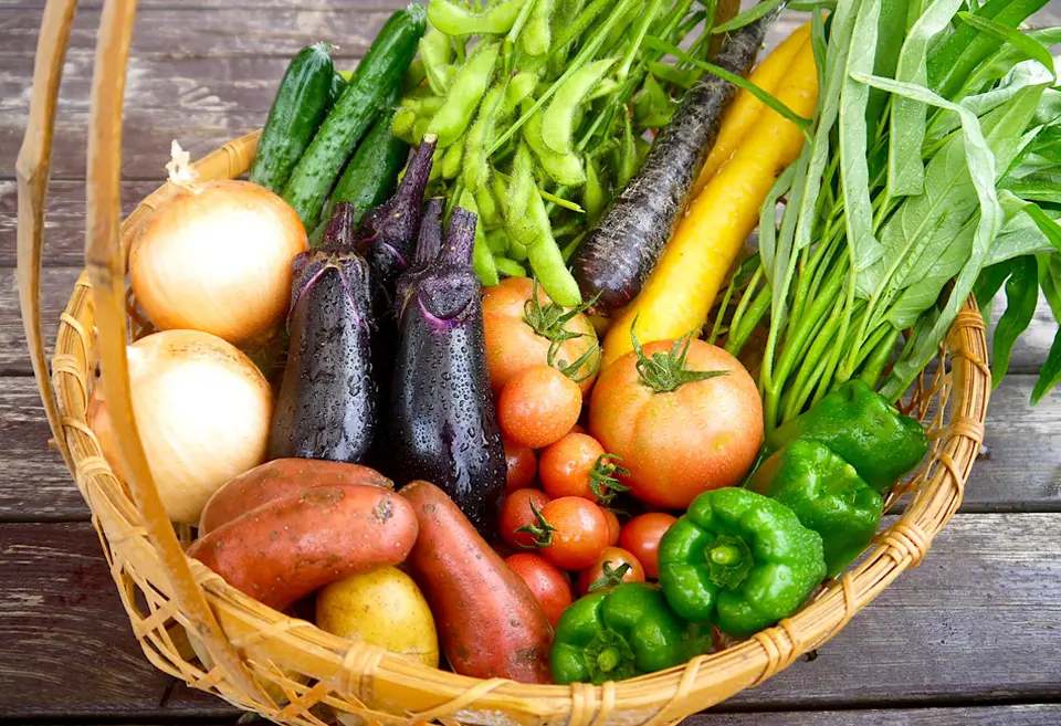 野菜セット[単発] Mサイズ_0