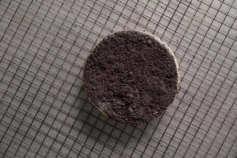 クッキー＆クリーム（ベイクドチーズケーキ）_0