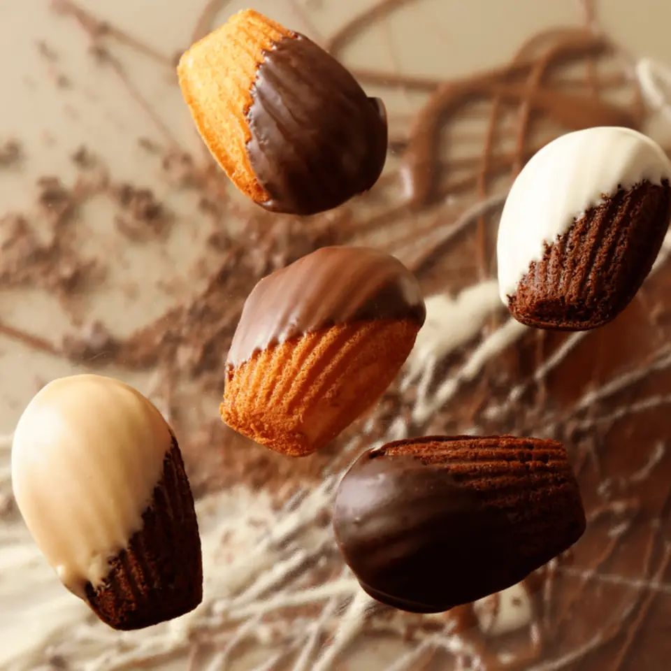 ショコラマドレーヌ10個セット_2
