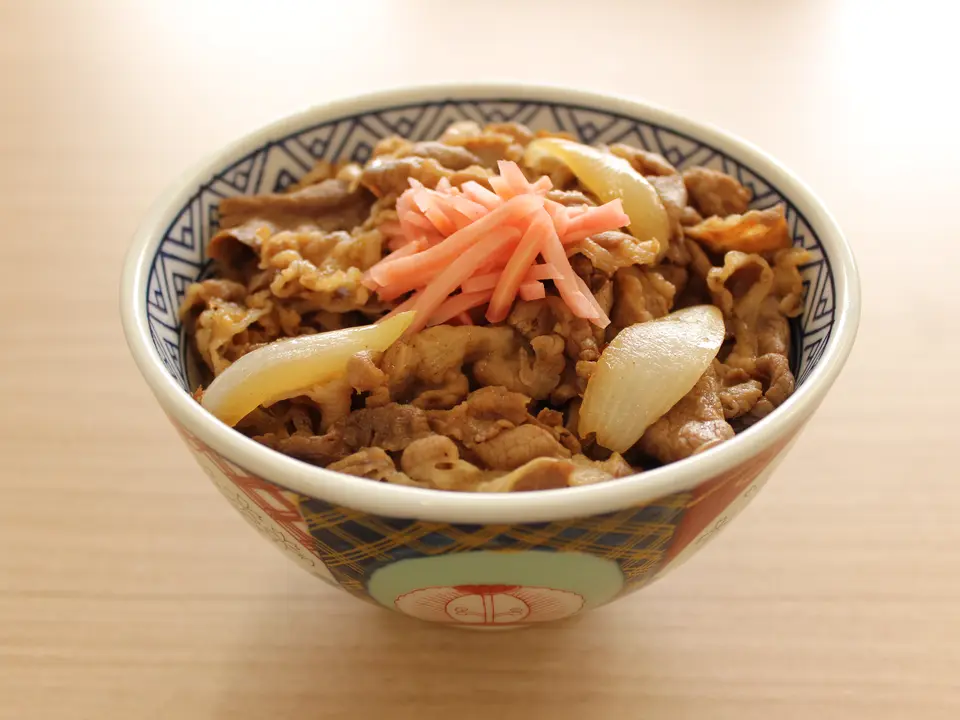 牛丼の具(並)10袋_0