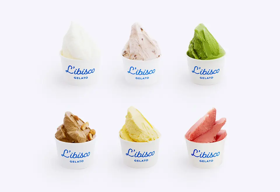 おうちでリビスコ6個セット_0