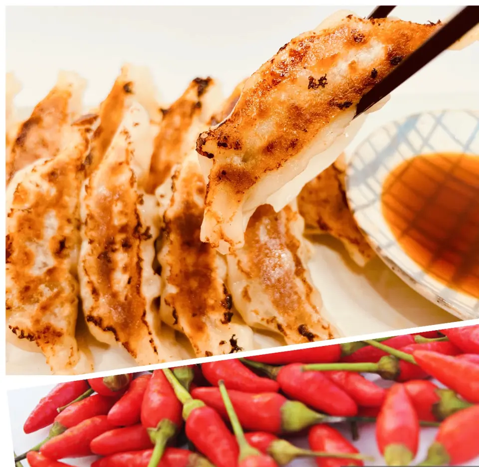 餃子2種味くらべ60個セット_0