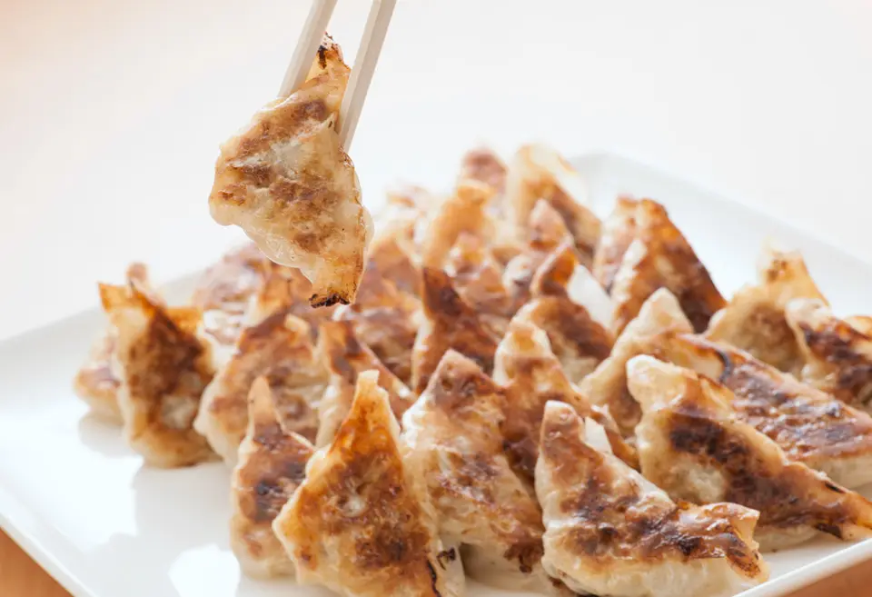 冷凍焼ぎょうざ(10個入・約150g)_0