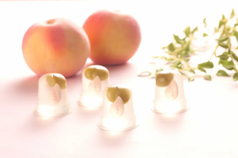 小牧篠岡 もものいずみ12個入_0