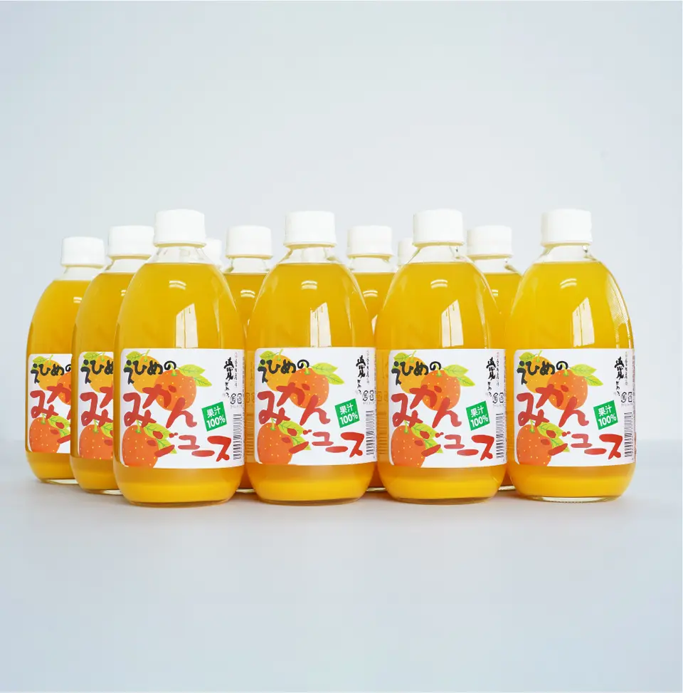 えひめのみかんストレートジュース 500ml×12本セット_0
