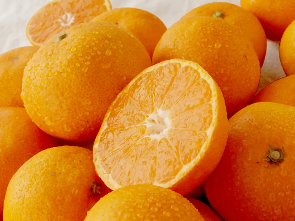 【特選】有田みかん　S～Mサイズ（5kg）_0