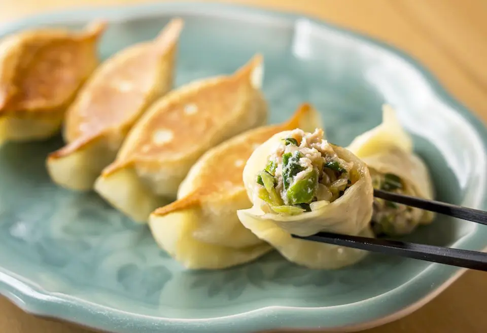 定番！手作り焼餃子（20個セット）_0