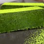 ＜1kg10万円の高級抹茶使用＞究極の抹茶テリーヌが誕生！