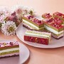 春の新作ケーキ！「ラズベリーとピスタチオのケーキ」