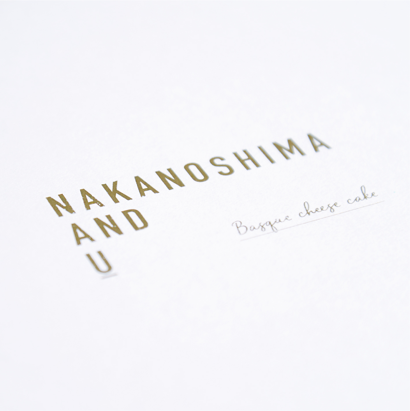 NAKANOSHIMAバスクチーズケーキ_3