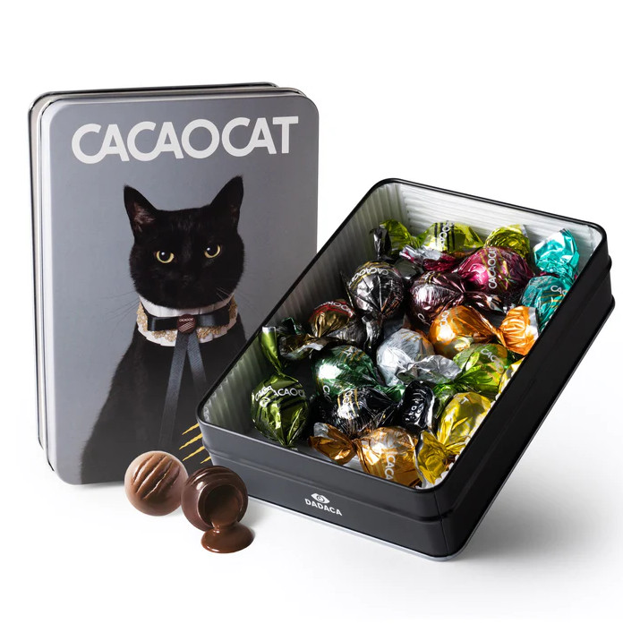 CACAOCAT缶 14個入り CAT_0