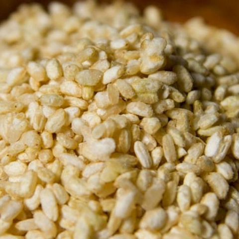  自然栽培 玄米麹 500g