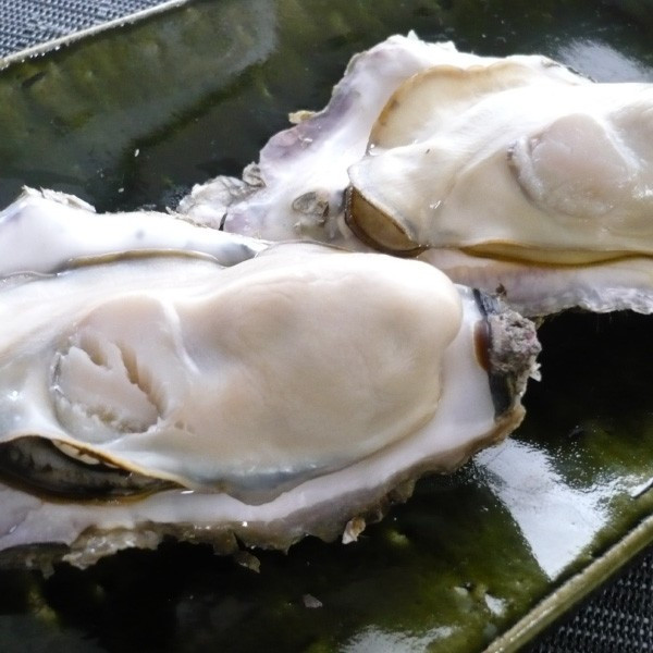 北海道・活牡蠣（殻付き生食）仙鳳趾 特大４Lサイズ 10個_0