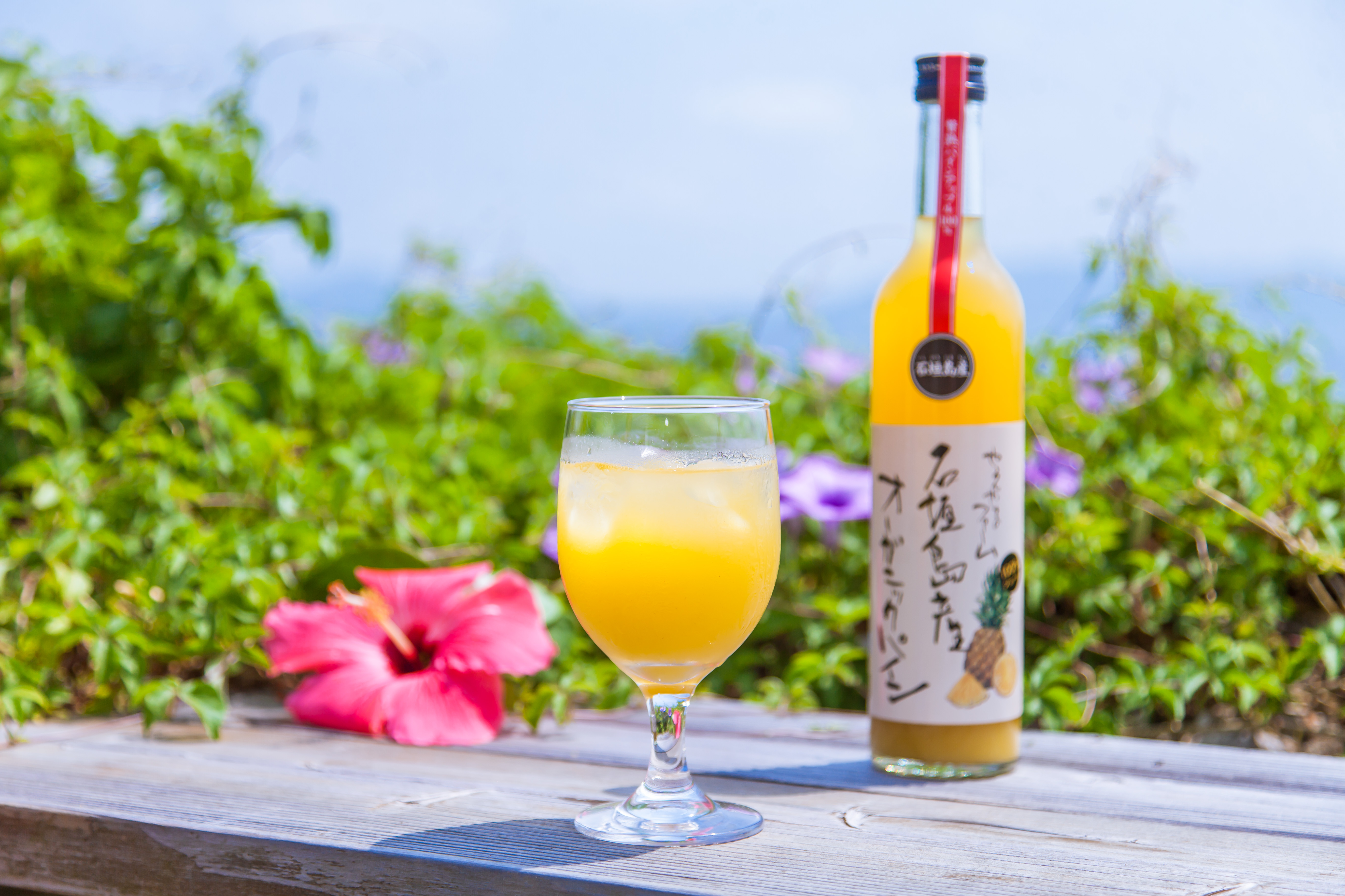 石垣島産プレミアム有機パイナップルジュース500ml×2本セット      やえやまファーム