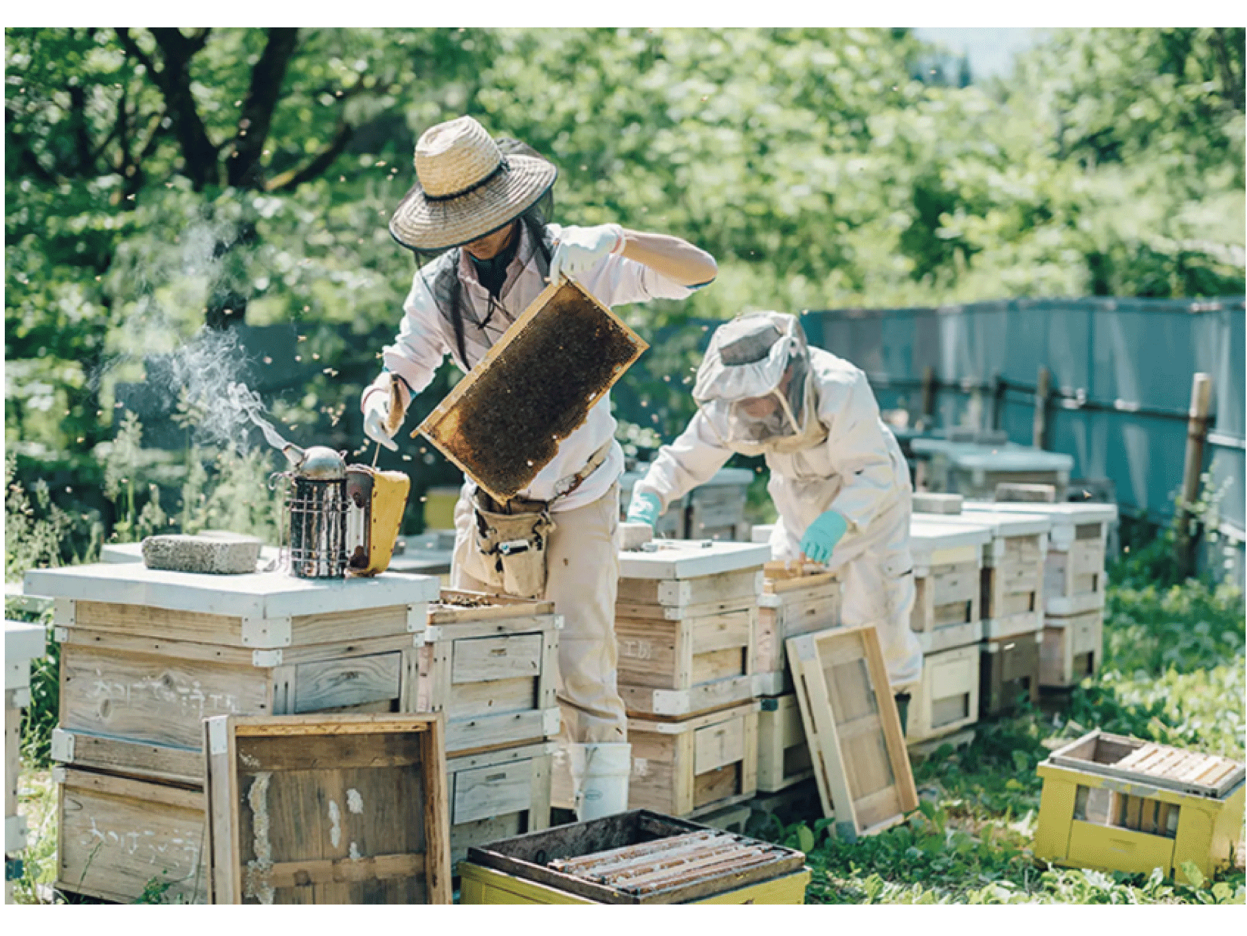 早い者勝ち ギフト プレゼント 内祝い はちみつ ドリンク 岩手産山ぶどう果汁と養蜂場厳選のはちみつの優しい味わい 山ぶどうみつ 0ml Dprd Jatimprov Go Id 早い者勝ち ギフト プレゼント 内祝い はちみつ ドリンク 岩手産山ぶどう果汁と養蜂場厳選のはちみつの優しい味わい 山ぶどうみつ 0ml Dprd Jatimprov Go Id