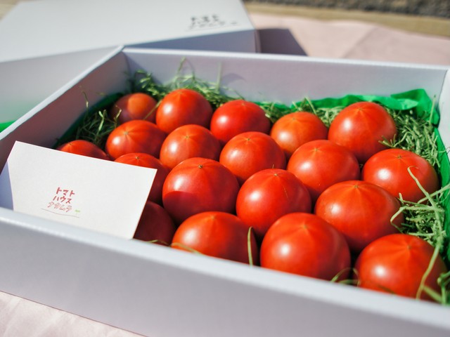 トマトハウスナカムラのフルーツトマトギフト(小)約1kg_0