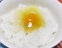濃厚な新鮮卵の卵かけご飯