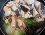 冬にぴったり
