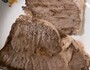 サーロインが特に美味しかった！