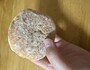 手に持ったサイズ感