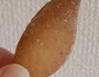 小さいけど食べごたえあります