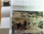 牛さんの写真入りで子どもたちも興味津々で読もうとしていました