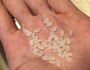水につける前の状態。